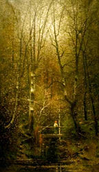 Waldbach mit Brücke